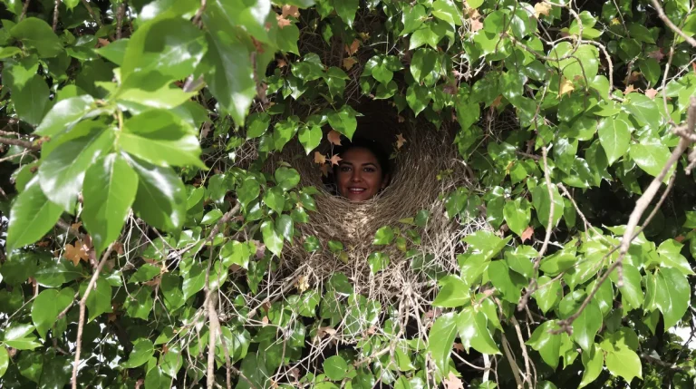 Jardinage : est-il réellement interdit de tailler sa haie après le 15 mars ?