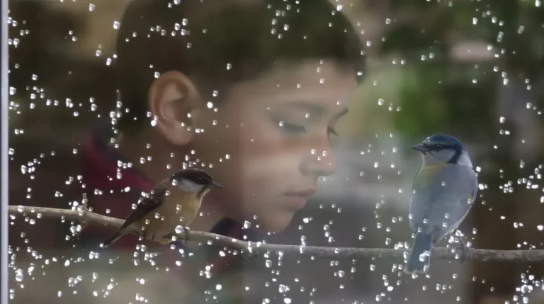 Mésange bleue ou charbonnière : comment les reconnaître et les accueillir au jardin